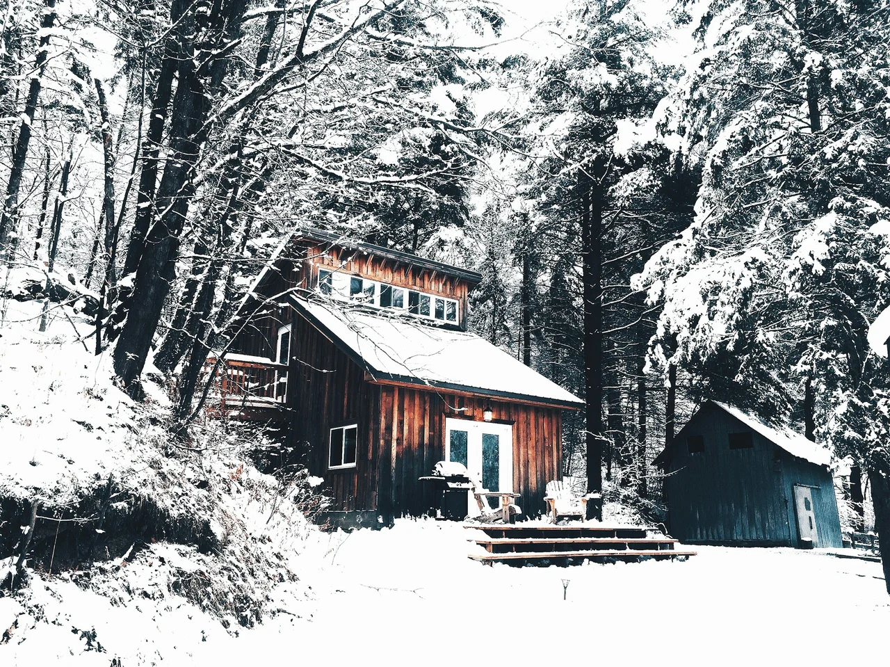 Chalet en bois entouré d’arbres enneigés